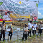 Percepatan Tanam 10.000 Hektar, Wabup Buol Turun Langsung di Desa Diat!