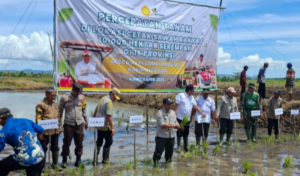 Percepatan Tanam 10.000 Hektar, Wabup Buol Turun Langsung di Desa Diat!
