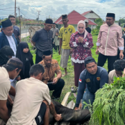 Kapolres Buol dan Personel Gotong Royong,  Qurban 4 Sapi dan 2 Ekor Kambing di Momen Idul Adha 1447 H